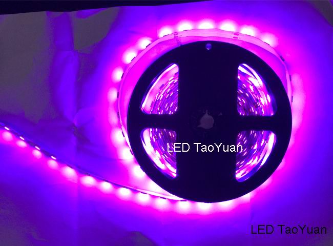 LED Strip Lights Pink 5050 - Click Image to Close